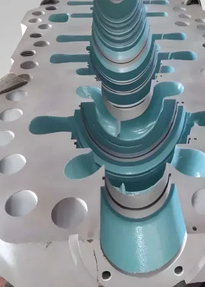 NP